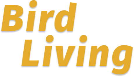 BirdLiving Logo
