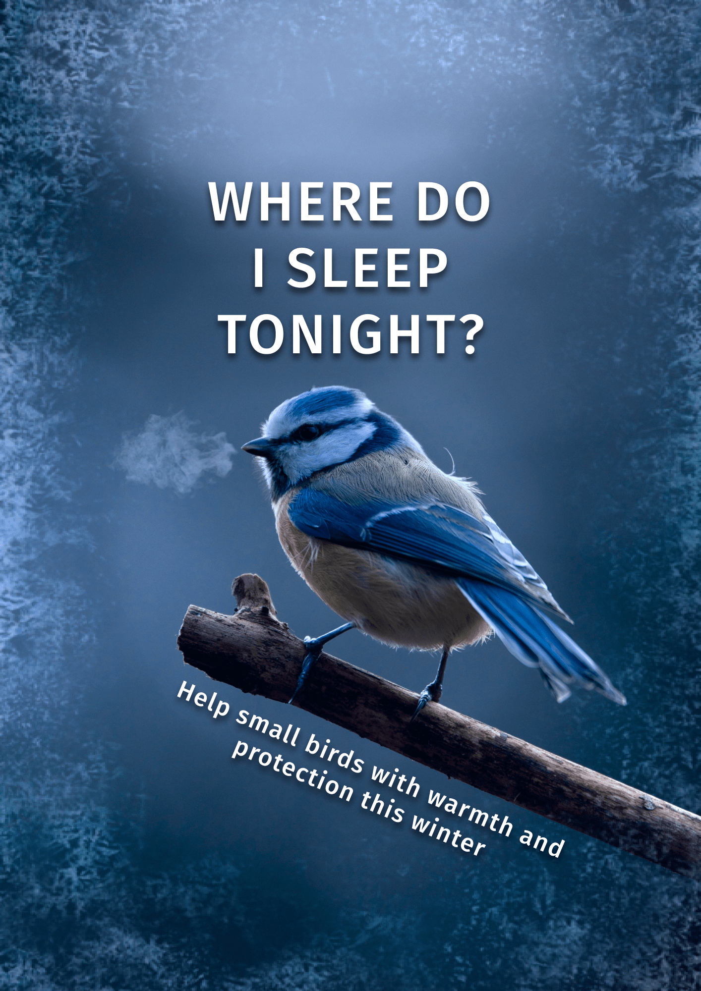 Bird project preview