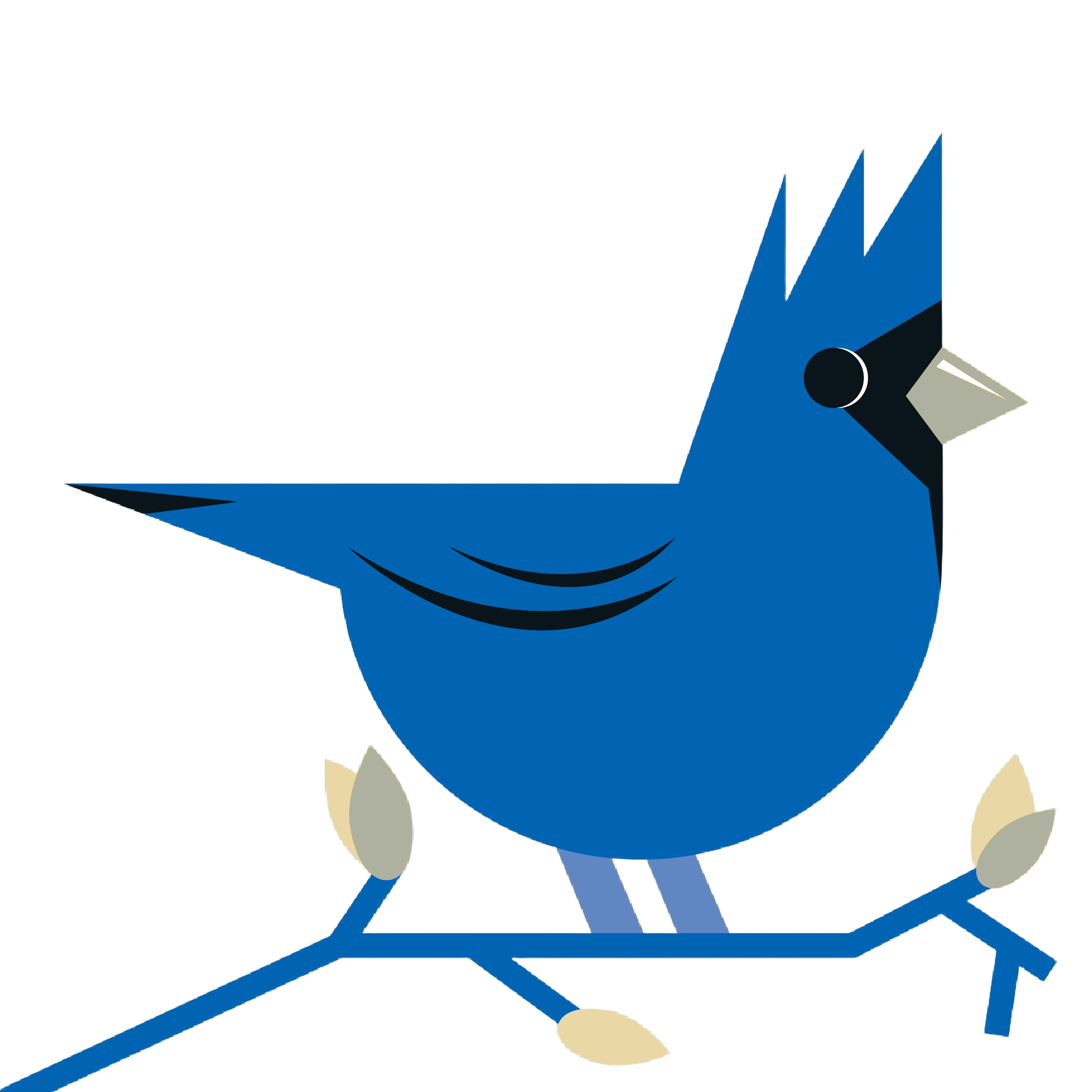 Bird project preview
