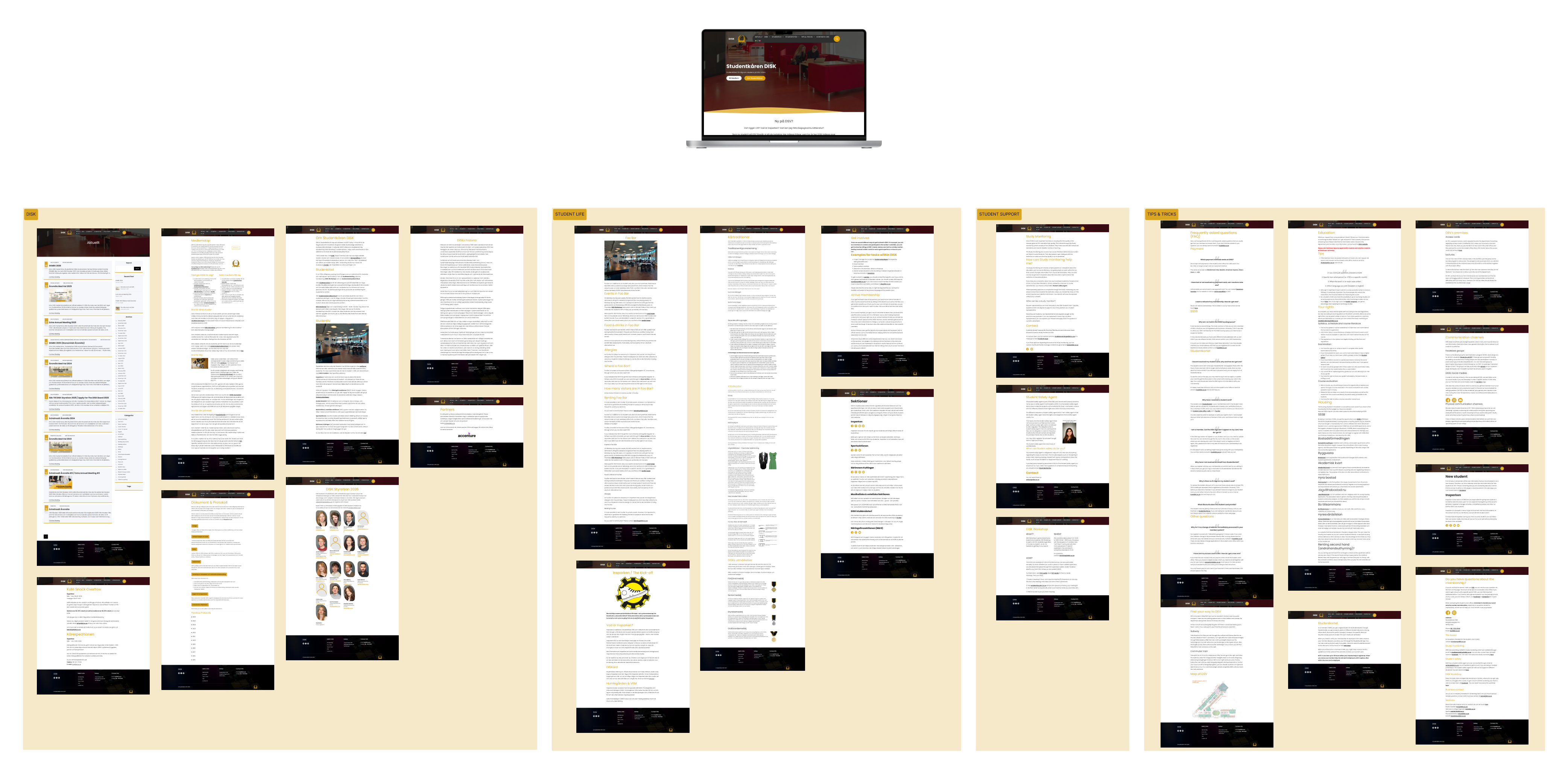 Original DISK information architecture before redesign
